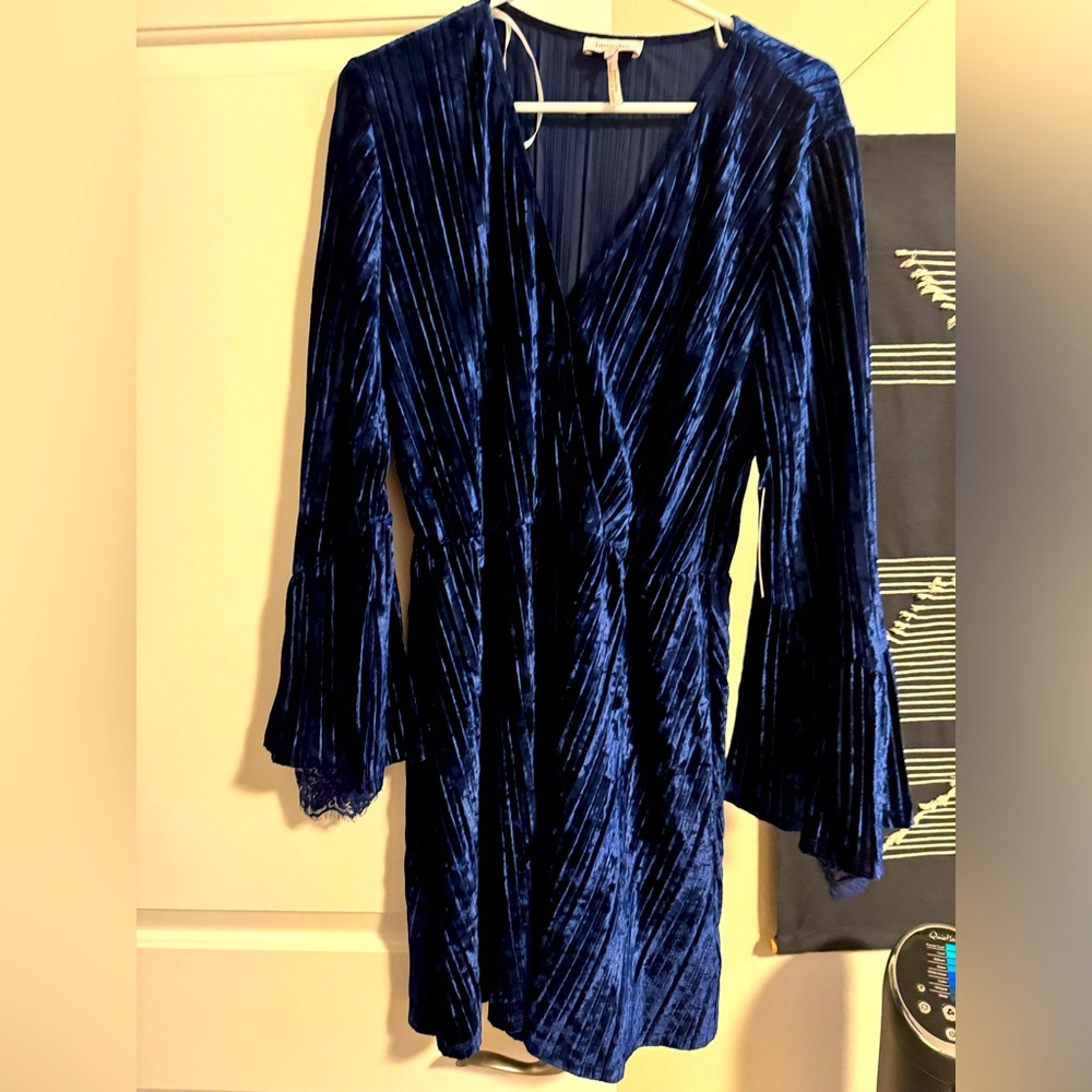 Laundry By Shelli Segal Crushed Velvet Dress